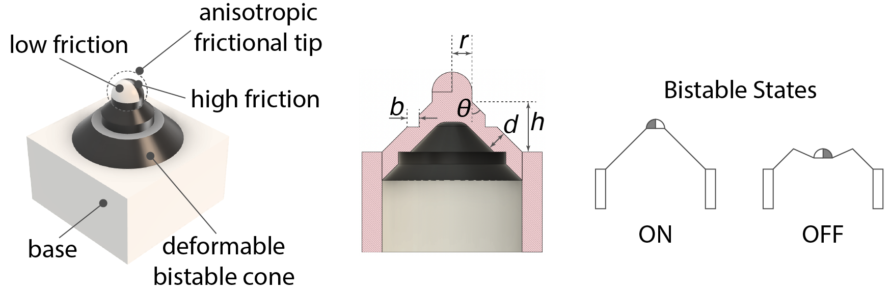 Design of the bistable cone