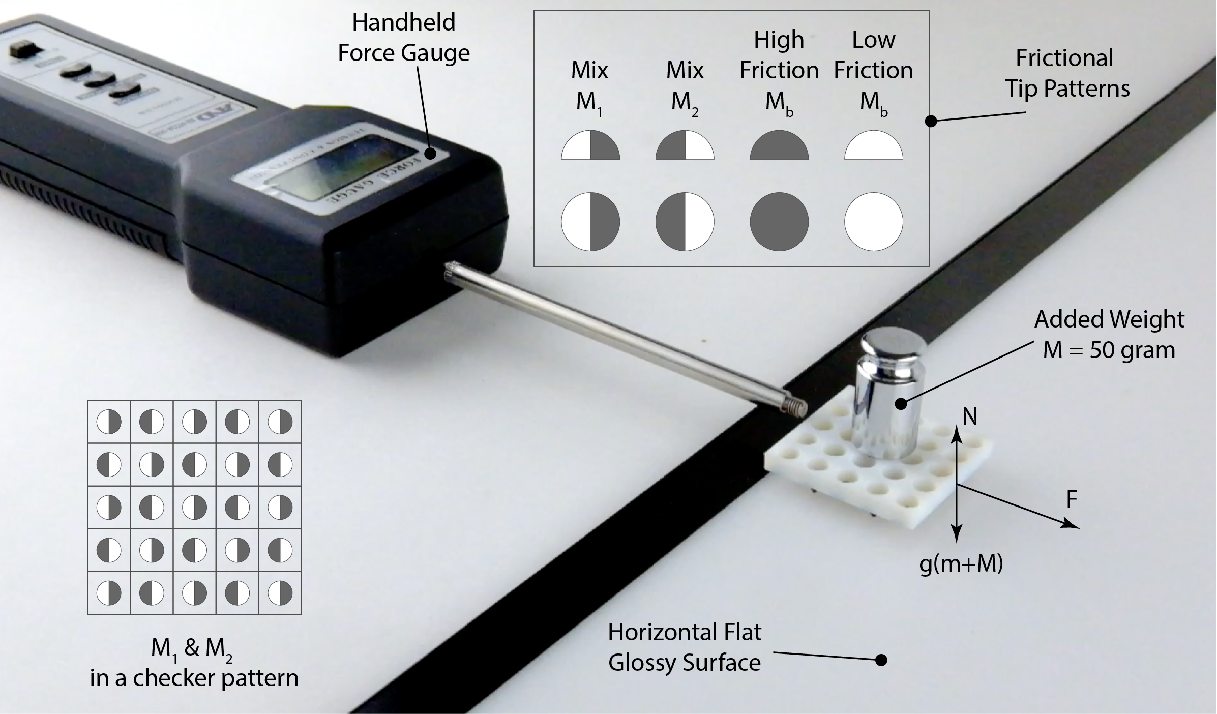 Frictional Test Setup